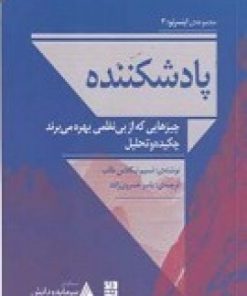 کتاب پاد شکننده: چیزهایی که از بی نظمی بهره می برند | انتشارات دیوار