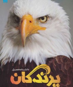 کتاب دانشنامه مصور پرندگان | انتشارات سایان