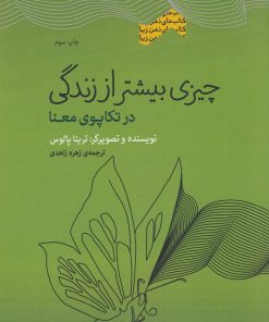 کتاب چیزی بیشتر از زندگی | انتشارات پندار تابان