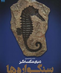 کتاب دانشنامه مصور دنیای شگفت انگیز سنگواره ها | انتشارات سایان