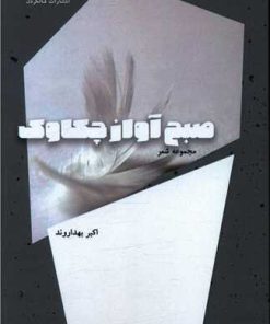 کتاب صبح آواز چکاوک | انتشارات شالگردن