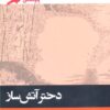 کتاب دختر آتش ساز | انتشارات پریان