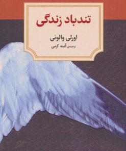 کتاب تندباد زندگی | انتشارات دیدآور