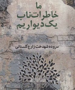 کتاب ما خاطرات ناب یک دیواریم | انتشارات آریابان