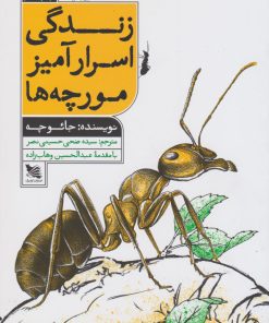 کتاب زندگی اسرار آمیز مورچه ها | انتشارات گوتنبرگ