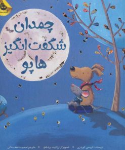 کتاب چمدان شگفت انگیز هاپو | انتشارات زعفران