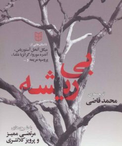 کتاب بی ریشه | انتشارات کتاب پنجره