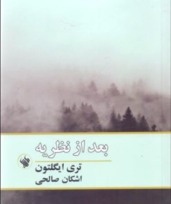 کتاب بعد از نظریه | انتشارات لاهیتا