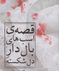 کتاب قصه ی اسب های بال دار دل شکسته | انتشارات نسک