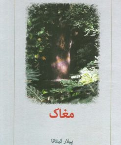 کتاب مغاک | انتشارات دیدآور