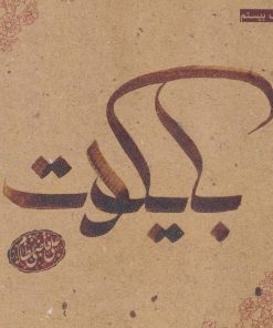 کتاب بایکوت | انتشارات 360 درجه