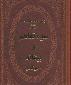 کتاب سوء تفاهم و بیگانه | انتشارات پارمیس