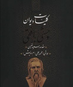 کتاب کلیات دیوان وحشی بافقی | انتشارات بدرقه جاویدان