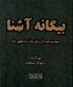 کتاب بیگانه آشنا | انتشارات نور اشراق