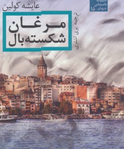 کتاب مرغان شکسته بال | انتشارات فروزش