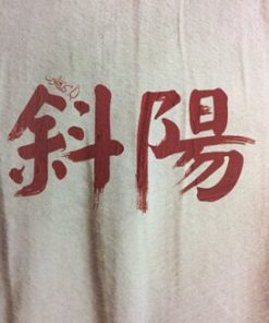 کتاب شایو | انتشارات کتاب فانوس