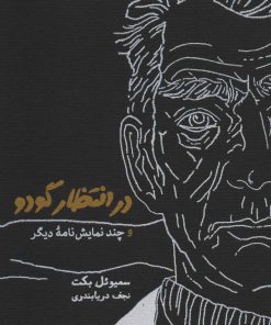 کتاب در انتظار گودو | انتشارات کارنامه