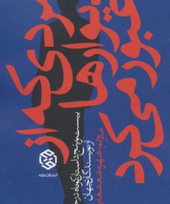 کتاب مردی که از دیوارها عبور می کرد | انتشارات روزنه