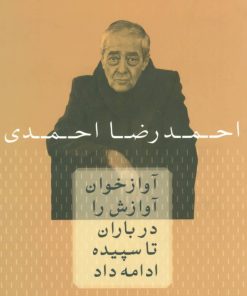 کتاب آوازخوان آوازش را در باران تا سپیده ادامه داد | انتشارات نشر چلچله