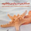 کتاب ستاره ی دریایی باشید | انتشارات آموخته