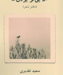 کتاب از بی تو بودن ها | انتشارات اریش