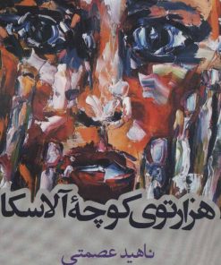 کتاب هزارتوی کوچه آلاسکا | انتشارات روزنه