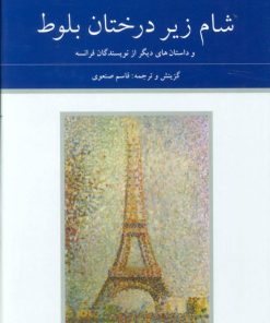 کتاب شام زیر درختان بلوط (2جلدی) | انتشارات دوستان