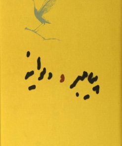 کتاب پیامبر و دیوانه | انتشارات کارنامه