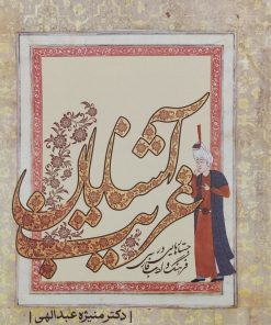 کتاب آشنایان غریب | انتشارات معین