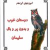 کتاب دوستان خوب و بدون پر و بال سلیمان | انتشارات جویا