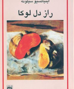 کتاب راز دل لوکا | انتشارات آزاد مهر