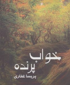 کتاب خواب پرنده | انتشارات روشا