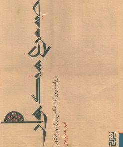 کتاب صید مرغ سنگ‌خوار | انتشارات برج