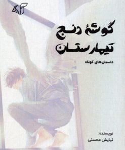 کتاب گوشه دنج تیمارستان | انتشارات آرمان رشد