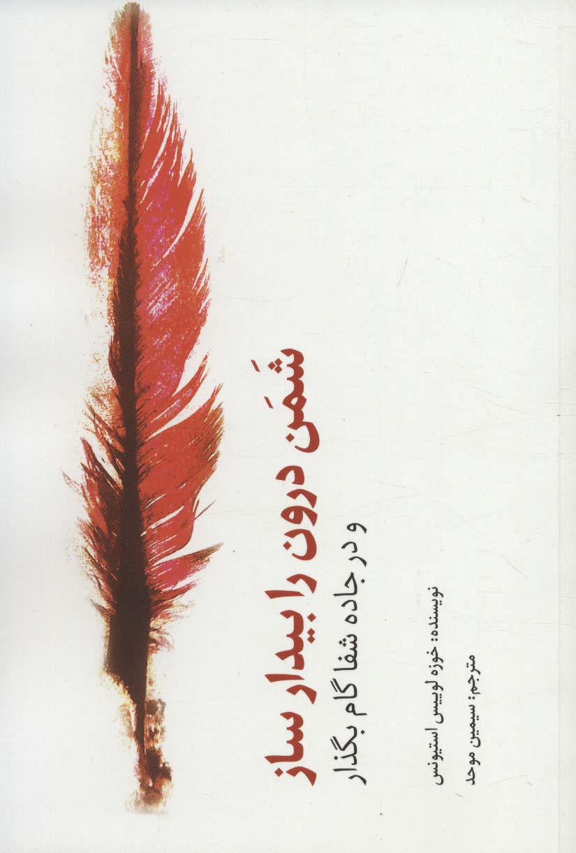 کتاب شمن درون را بیدار ساز | انتشارات مریمان