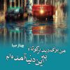 کتاب من برای دیدار کوتاه به این دنیا آمده ام | انتشارات ماهین