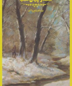 کتاب شکارچیان شب | انتشارات پرنده آبی