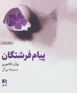 کتاب پیام های فرشتگان | انتشارات ذهن آویز