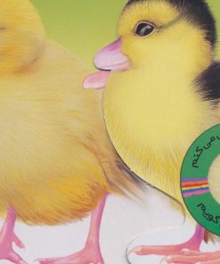 کتاب پرهام لطیف و نازه | انتشارات جابیرو