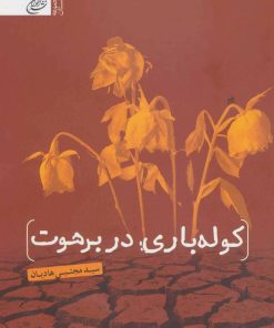 کتاب کوله باری در برهوت | انتشارات اخوان