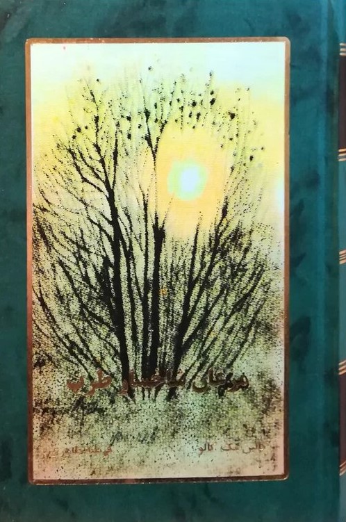 کتاب مرغان شاخسار طرب | انتشارات لیوسا