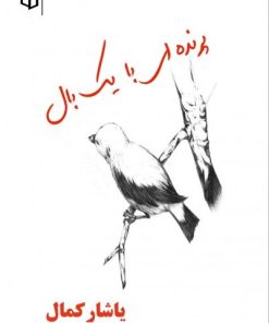 کتاب پرنده ای با یک بال | انتشارات پوینده