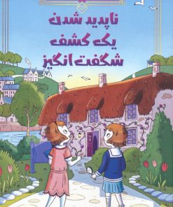 کتاب ناپدید شدن یک کشف شگفت انگیز | انتشارات آبادیران