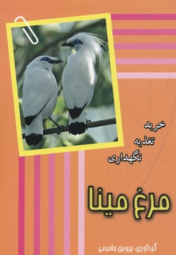 کتاب مرغ مینا | انتشارات جاجرمی