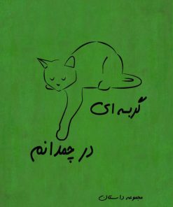 کتاب گربه ای در چمدانم | انتشارات جاودان خرد