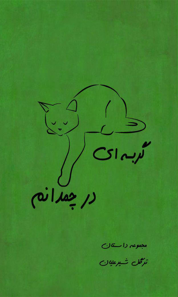 کتاب گربه ای در چمدانم | انتشارات جاودان خرد