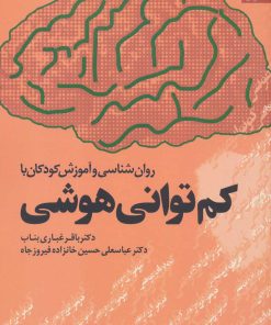 کتاب روان شناسی و آموزش کودکان با کم توانی هوشی | انتشارات دانژه