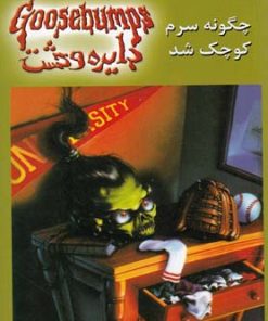 کتاب چگونه سرم کوچک شد | انتشارات نشر ویدا