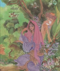 کتاب نامه لیلی و مجنون (رحلی، قابدار) | انتشارات فکر روز