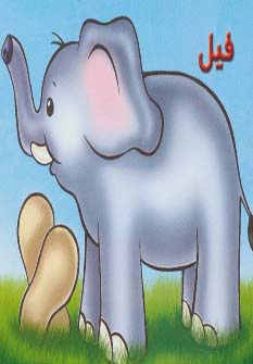کتاب فیل | انتشارات خانه ادبیات